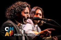 /album/fotogaleria-finalistas/el-granaino-jpg1/